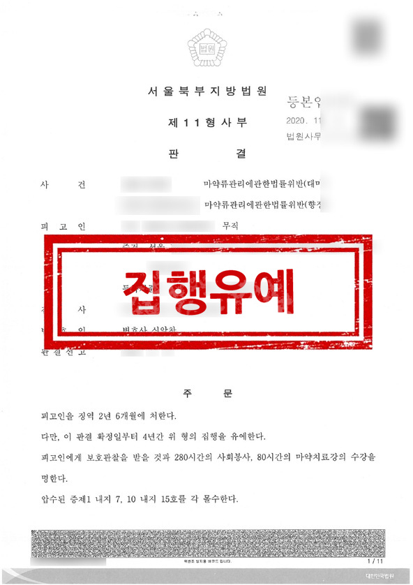 판결문 - 집행유예